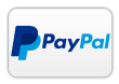 paypal alternative2